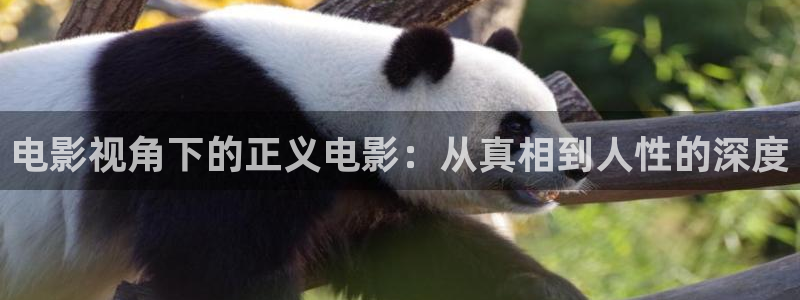 久久久久久电影