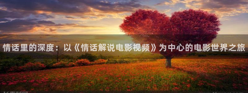 久久久久视频播放