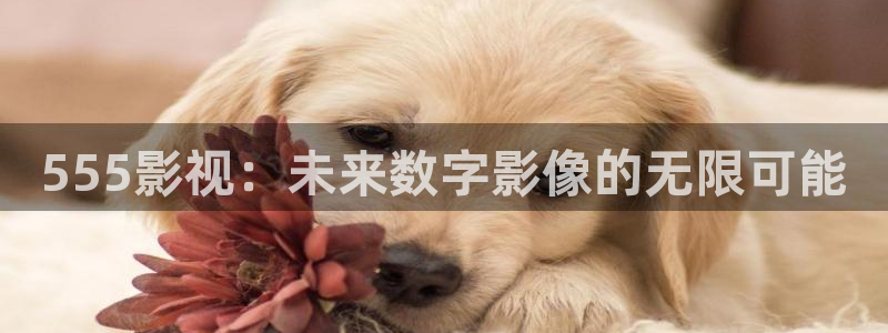 久久视频
