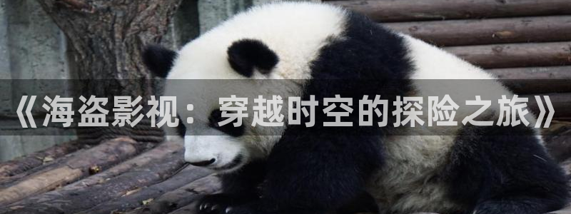 欧美久久视频