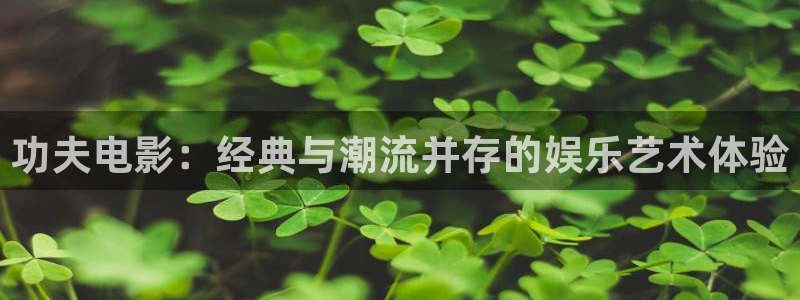 国产视频久久久久久