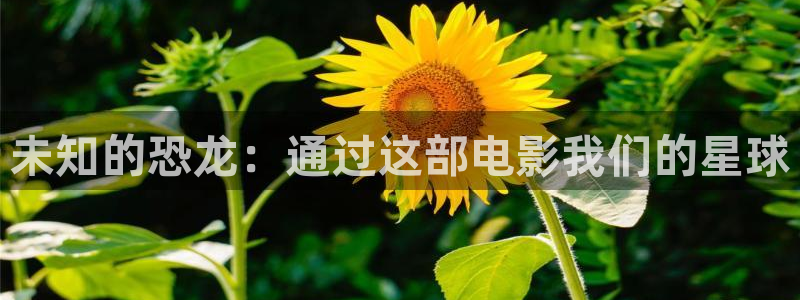 亚洲久久视频播放