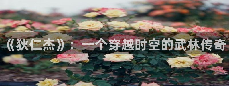 久久视频精品99