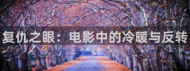 久久视频这里有精品