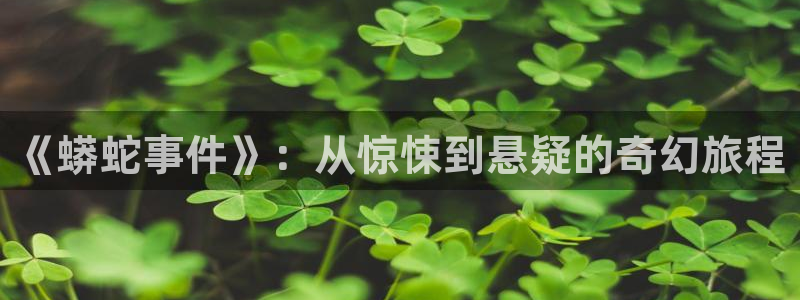 久久久精品电影网