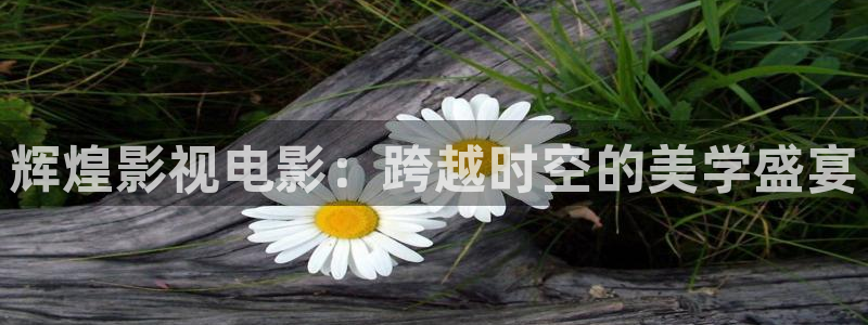 久久久久免费精品电影
