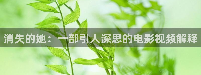 久久久电影影院在线观看免费最新电视剧