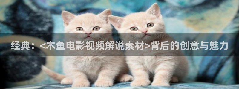 国产高清精品久久久久