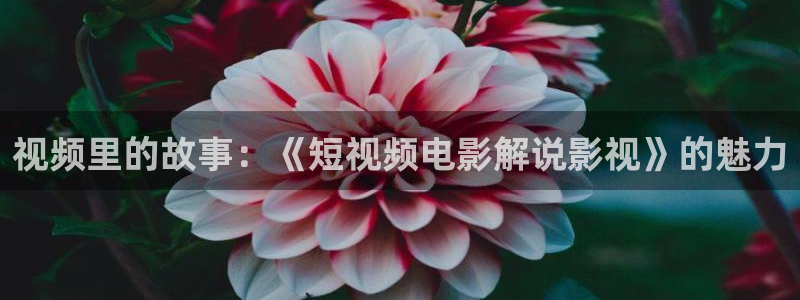 亚洲精品成人久久久影院