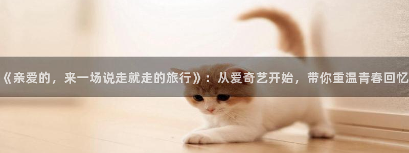 国产精品久久久天天影视