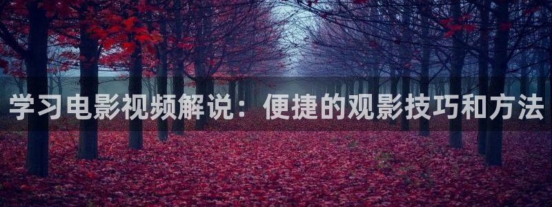 久久久在线影院