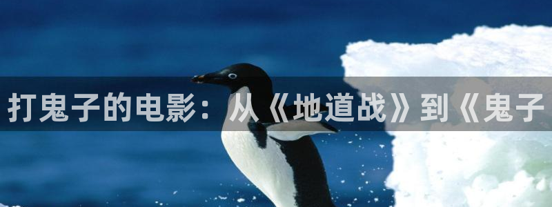 久久久久亚洲免费视频