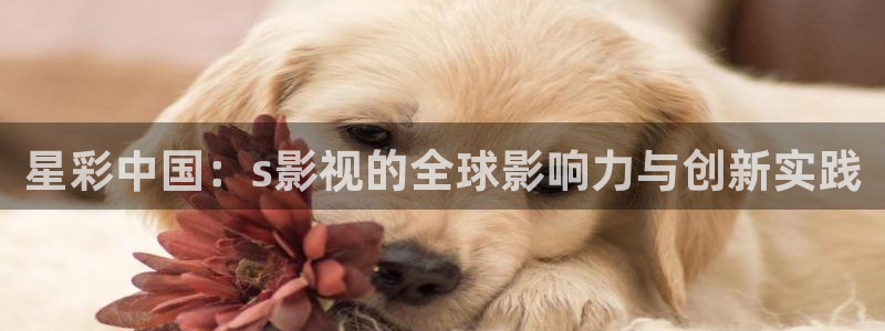 久久久一区影院
