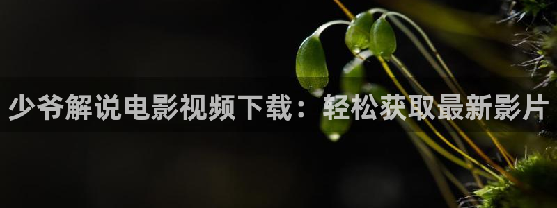 新闻图片