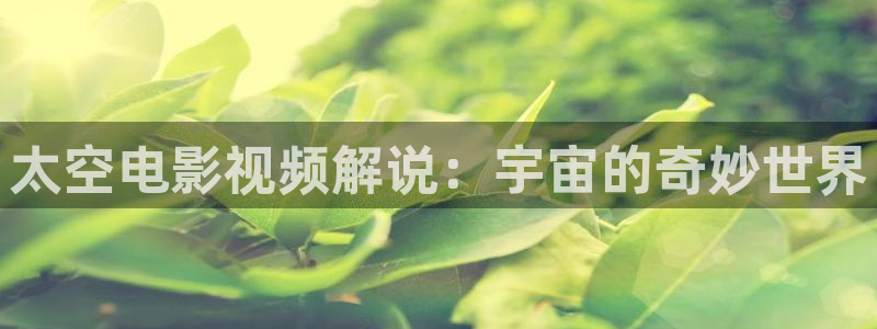 精品视频久久久久久