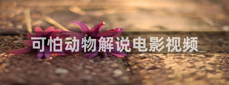神马午夜电影院久久久久