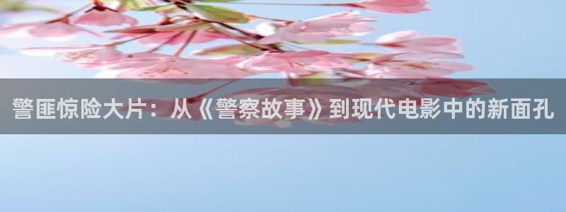 久久视频这里有精品33