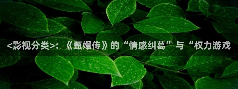 久久久久亚洲精品电影
