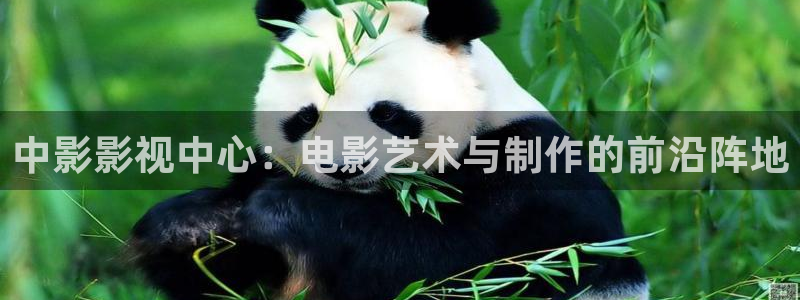 桃花影院久久久