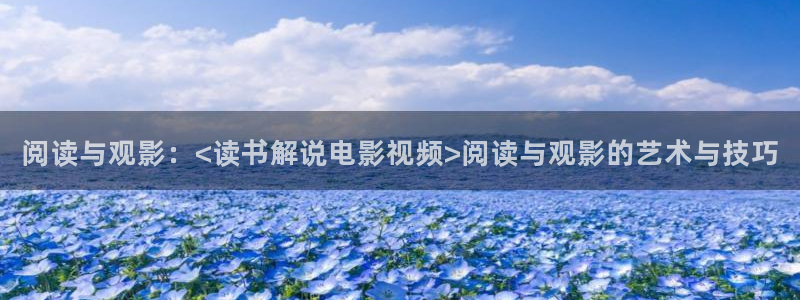 久久久久精品免费极品免费大片