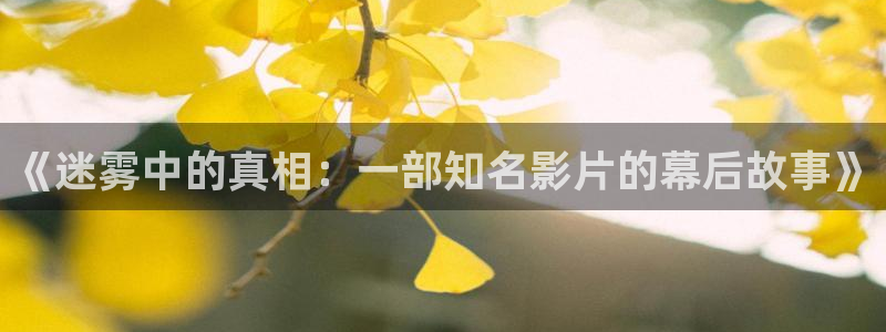 久久视频ww