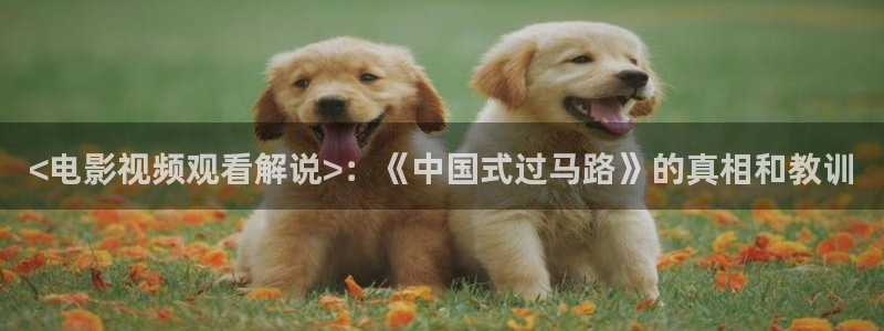 久久久在线影院免费观看电视剧大全