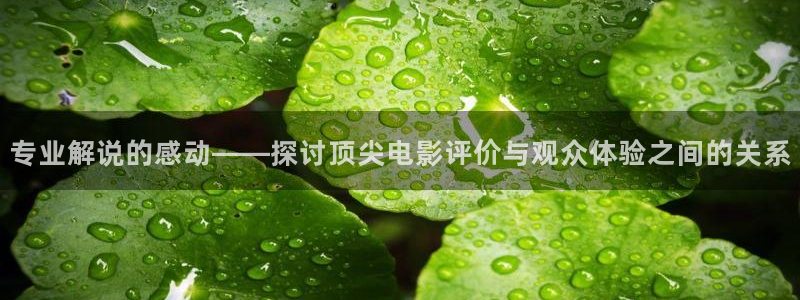 69久久视频