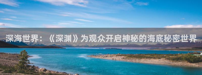 日本a级视频久久久久