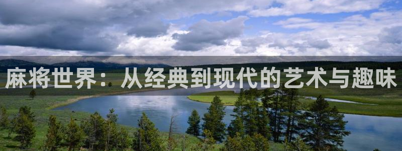 98久久视频