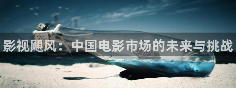 久久久网站在线观看