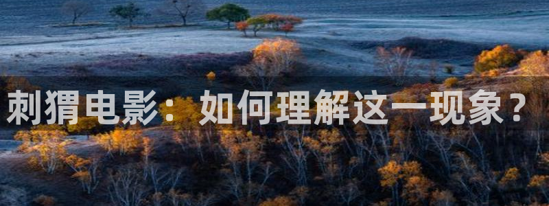 久久久久久久久久国产精品视频