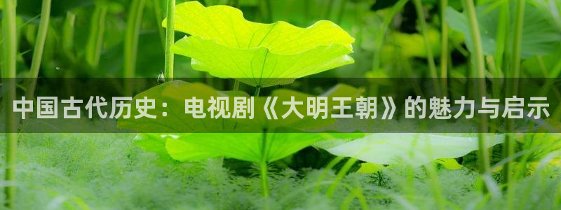 九九热久久视频