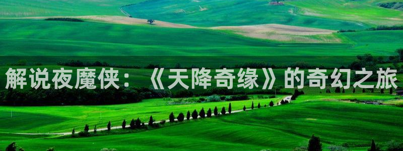 国内精品久久久久影视日本