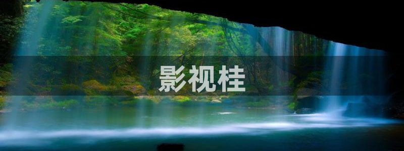 国产精品久久久久久影视