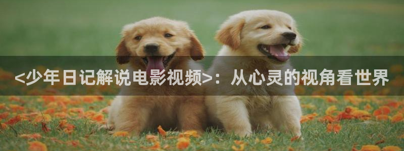 国内精品久久久久影视日本