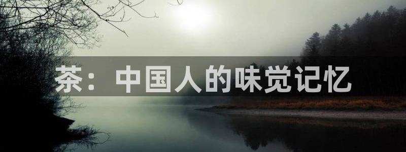 久久久电影影院在线观看免费最新电视剧