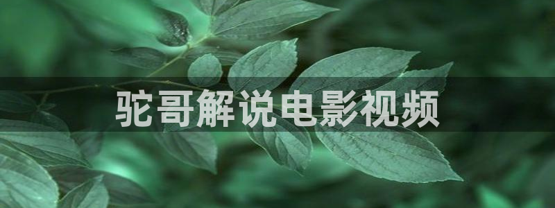 免费观看久久久