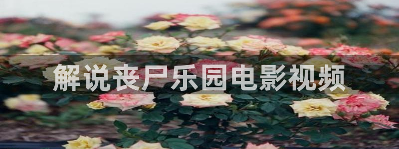 久久久精品电影999