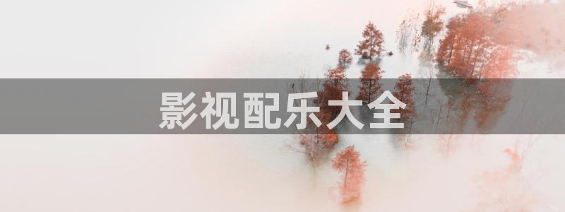 久久久精品电影网站