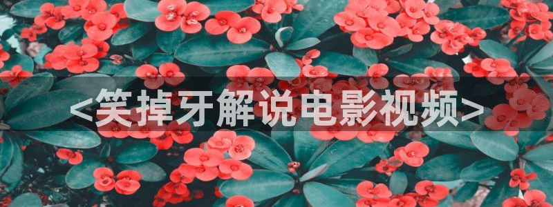 久久久久免费高清视频