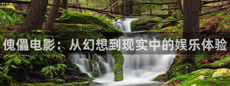 久久视频在线观看精品