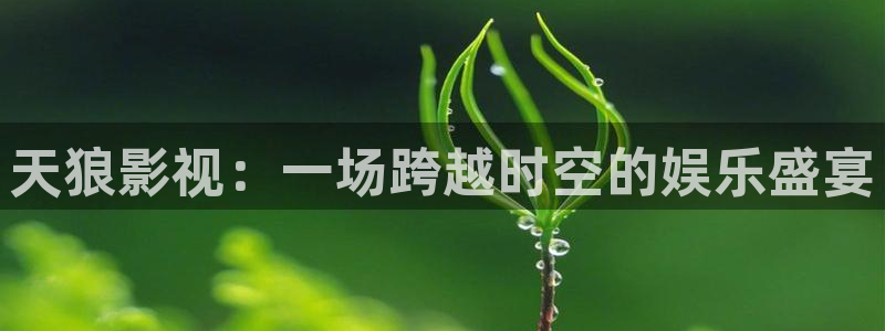 热久久视频