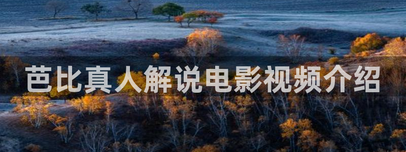 久久久午夜片