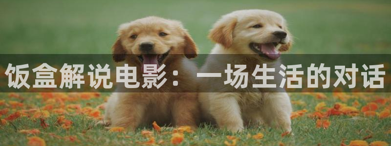被窝电影网久久久