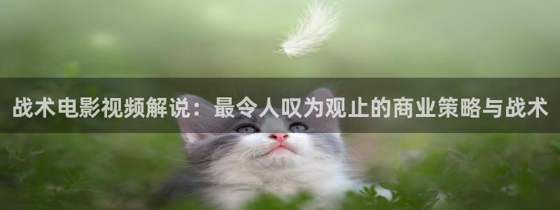 久久久国产精品桃花影视