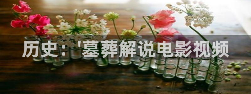 久久视频免费