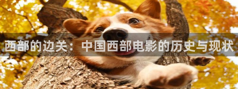 久久视频这里有精品33
